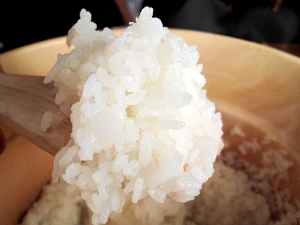お米マイスタークラス入門編～日本人だからこそ、お米を極める～